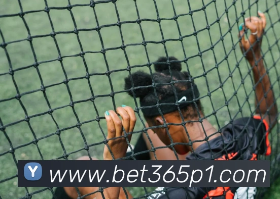 bet365中国官网服务体系